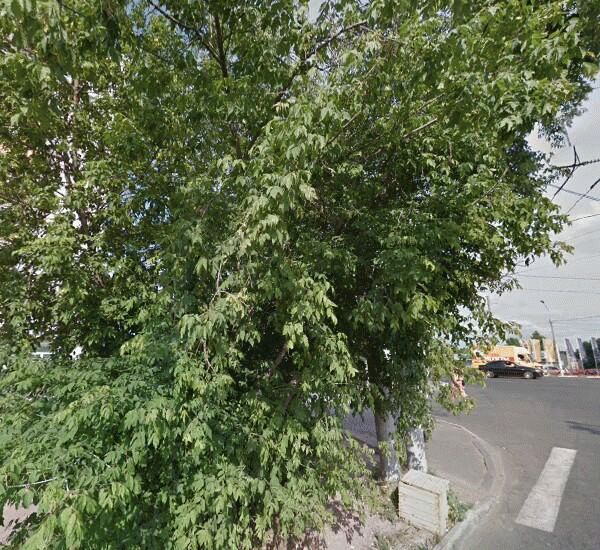 Отделение Сбербанка России по адресу Московский пр., д. 106